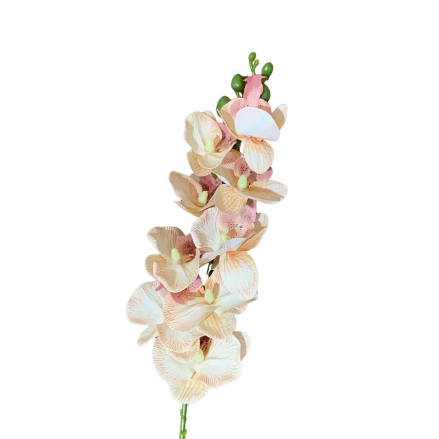 A Mini Orquídea Rosa Artificial é uma delicada representação da beleza das orquídeas naturais. Com suas flores em tons suaves de rosa, essa planta traz um toque de charme e elegância a qualquer ambiente. As pétalas são detalhadas, imitando a textura e a forma das flores verdadeiras, enquanto as folhas verdes complementam o visual. Ideal para decoração, essa orquídea não requer cuidados especiais e é perfeita para quem deseja um toque floral sem a manutenção das plantas vivas.