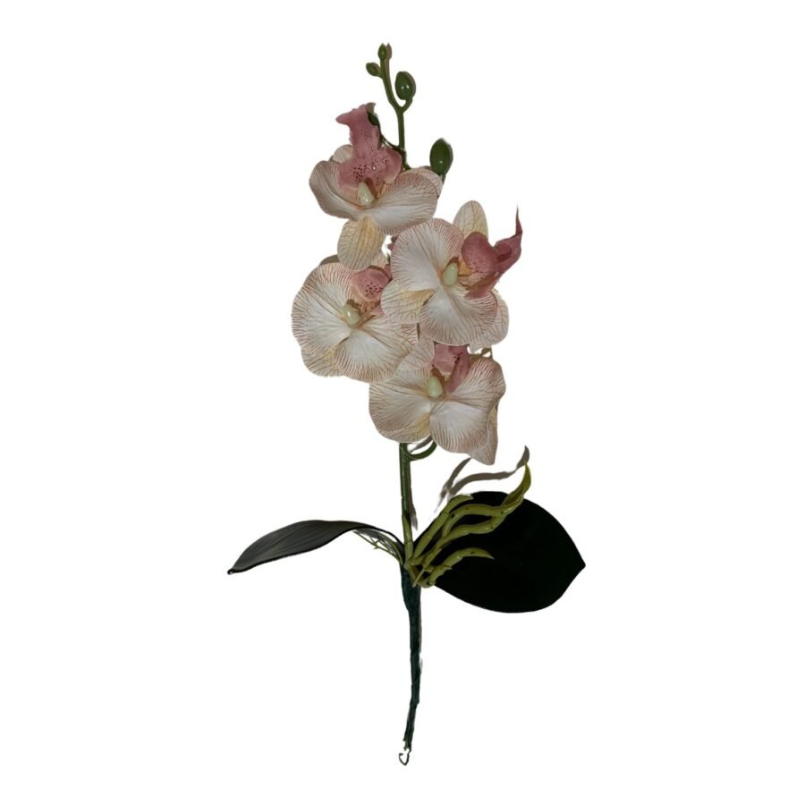 A Mini Orquídea Rosa com Folha é uma delicada peça decorativa que combina a beleza das flores em um suave tom de rosa com folhas verdes vibrantes. Com detalhes realistas, suas pétalas trazem um toque de elegância e frescor a qualquer ambiente. Ideal para mesas, prateleiras ou arranjos, essa orquídea é prática e não requer cuidados especiais, proporcionando um elemento floral duradouro e encantador para a decoração de casas ou escritórios.