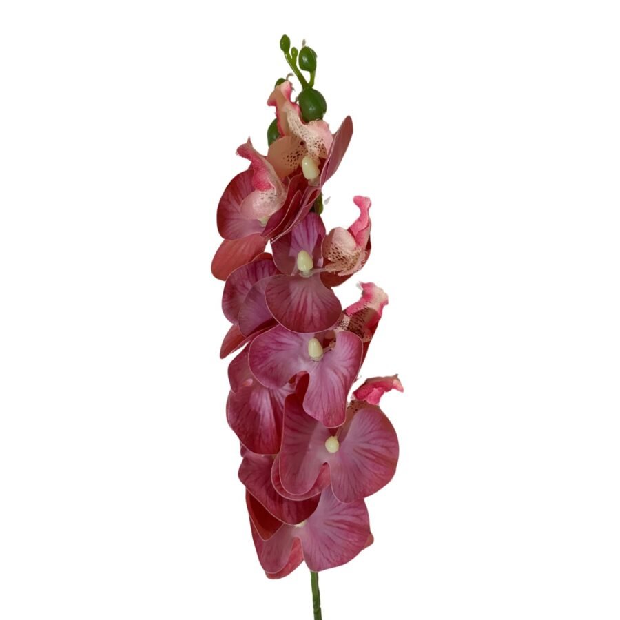 A Mini Orquídea Artificial Roxo é uma encantadora peça decorativa que traz um toque vibrante e sofisticado a qualquer ambiente. Com suas flores em um tom rico de roxo, ela apresenta detalhes realistas que imitam as orquídeas naturais. As folhas verdes bem modeladas adicionam um contraste bonito. Prática e sem necessidade de cuidados especiais, essa orquídea é ideal para quem deseja um elemento floral duradouro e elegante em casa ou no escritório