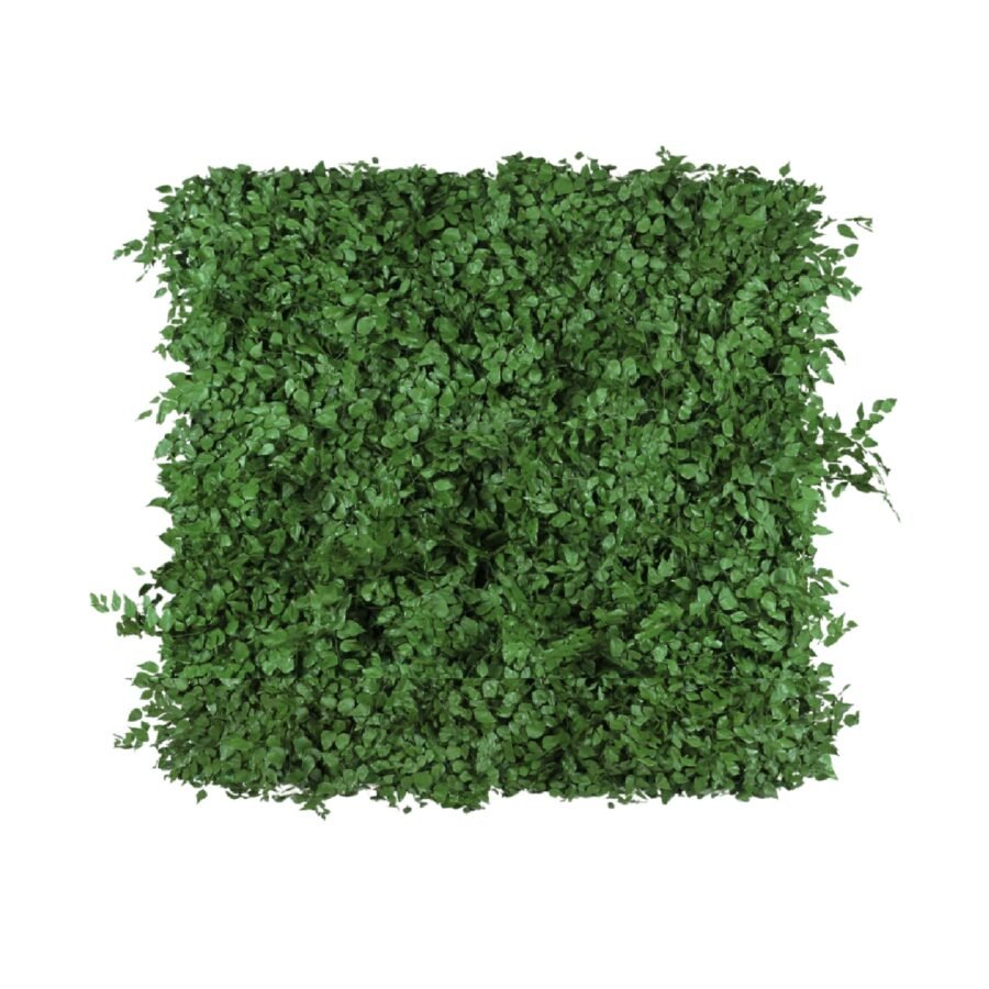 Jardim Vertical Preservado Folhagem Avenca 100x1000cm